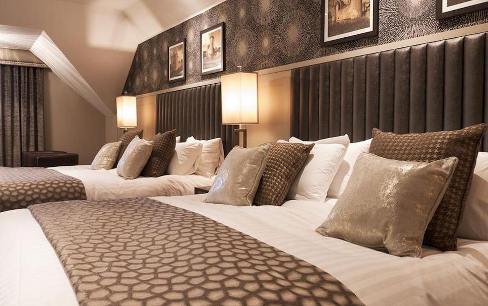 Hotel Tulip Near Delhi Airport นิวเดลี ห้อง รูปภาพ